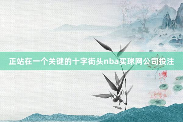 正站在一个关键的十字街头nba买球网公司投注