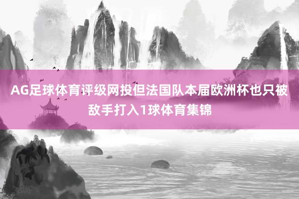 AG足球体育评级网投但法国队本届欧洲杯也只被敌手打入1球体育集锦