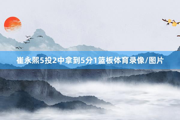 崔永熙5投2中拿到5分1篮板体育录像/图片