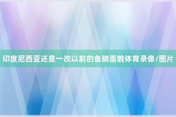 印度尼西亚还是一改以前的鱼腩面貌体育录像/图片